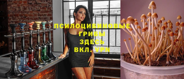 мяу мяу кристалл Алексин