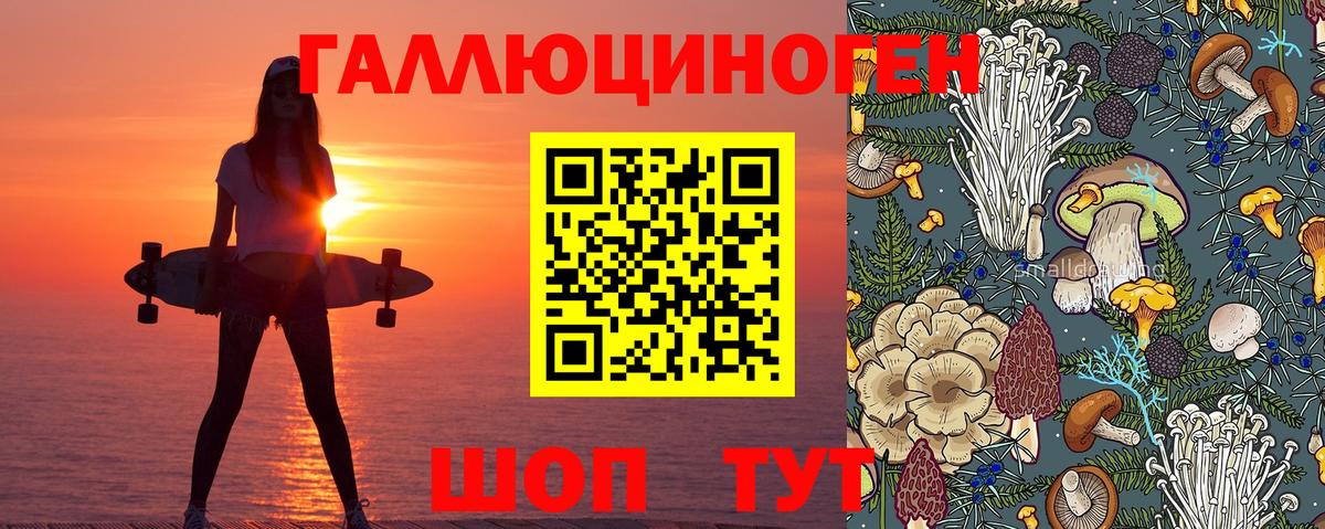 как найти закладки  Вход с VPN  Богородск  Псилоцибиновые грибы мухоморы 