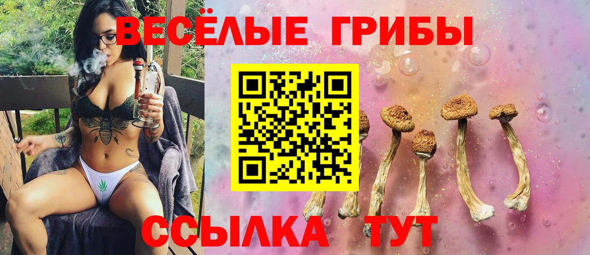 Псилоцибиновые грибы Psilocybine cubensis Богородск